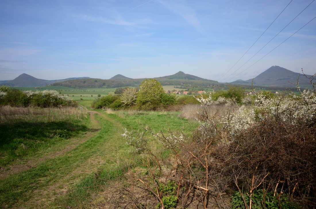 DSC_1137_00001n.jpg