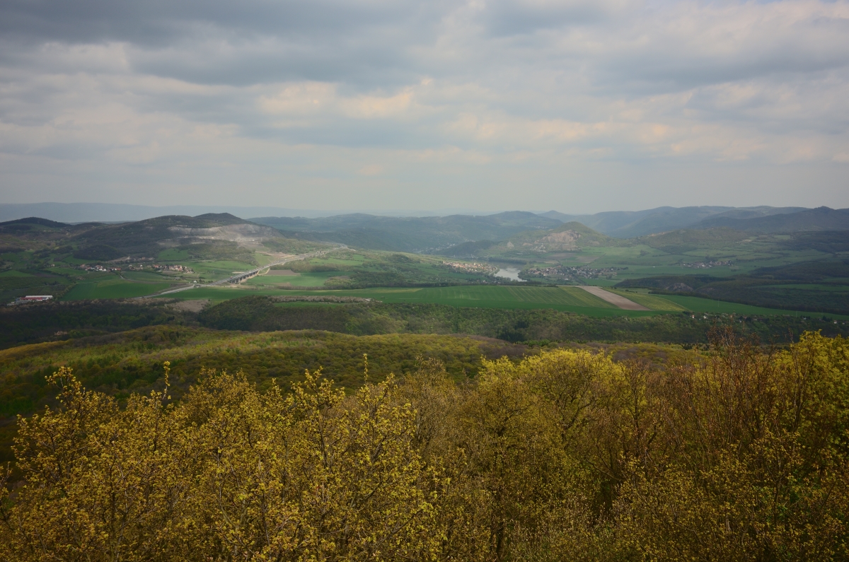 DSC_1145_00001n.jpg