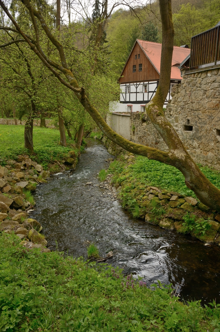 DSC_1152_00001n.jpg