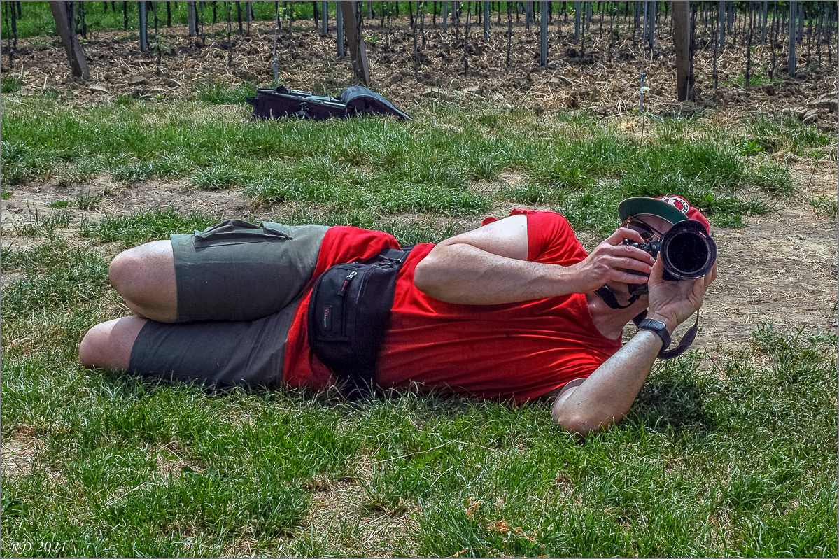 DSC_1153.jpg