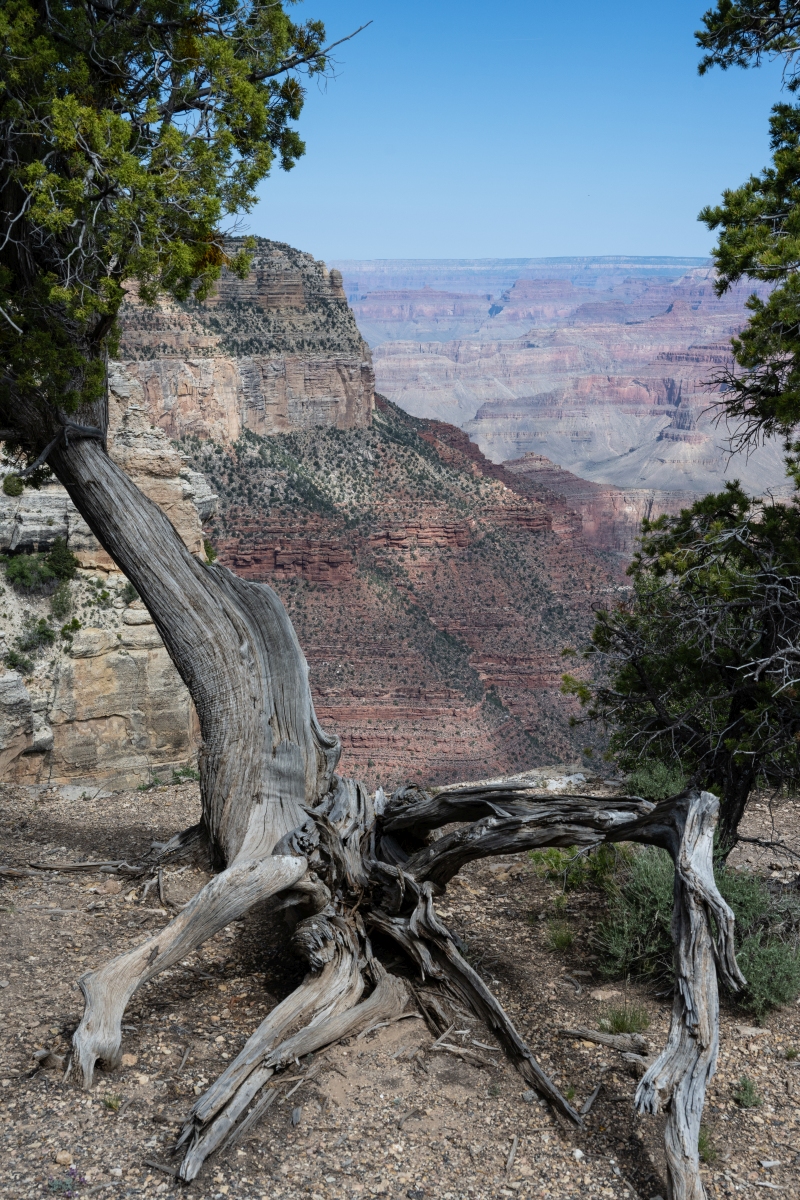 DSC_1160.jpg
