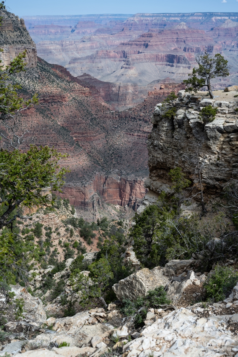 DSC_1161.jpg