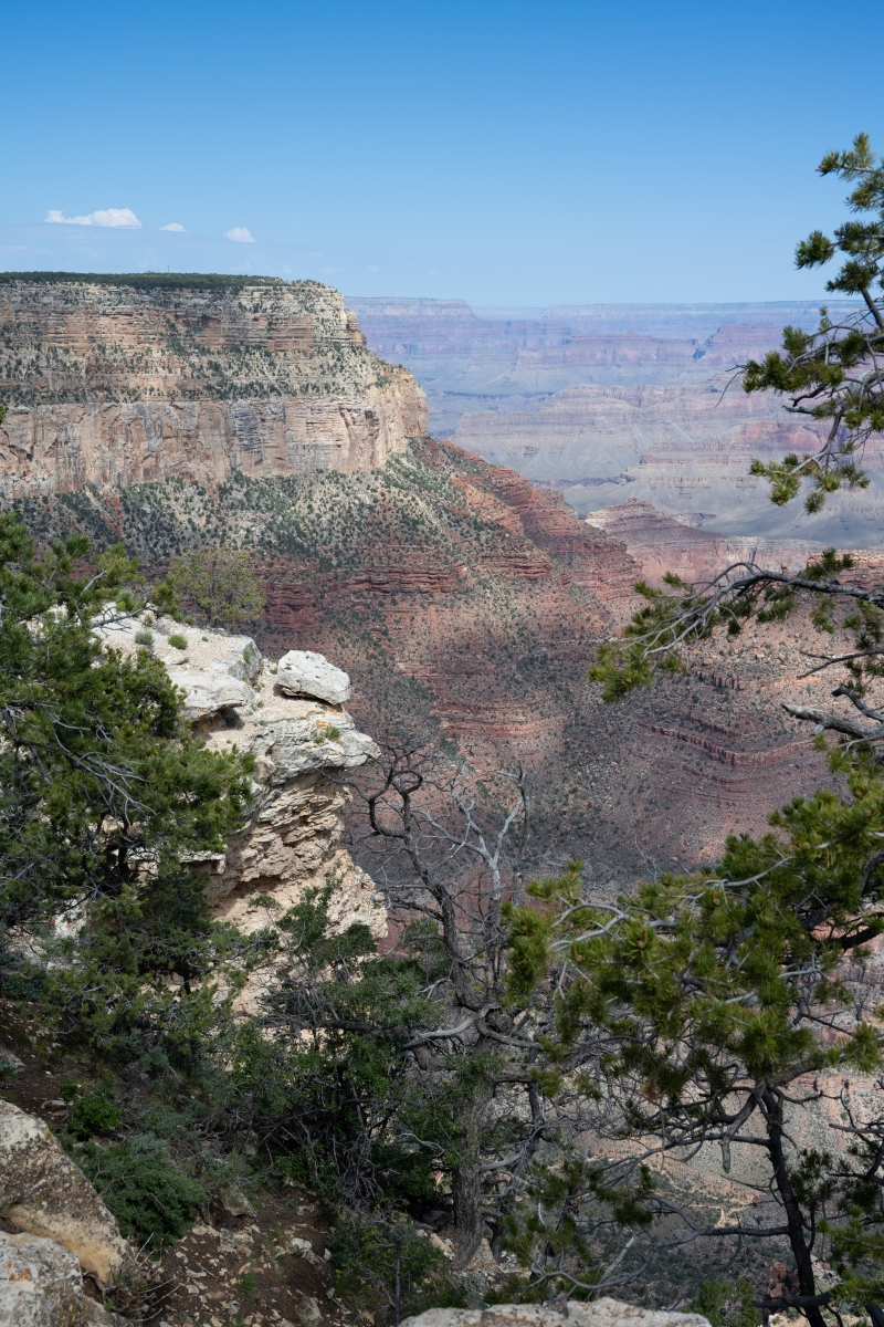 DSC_1163.jpg