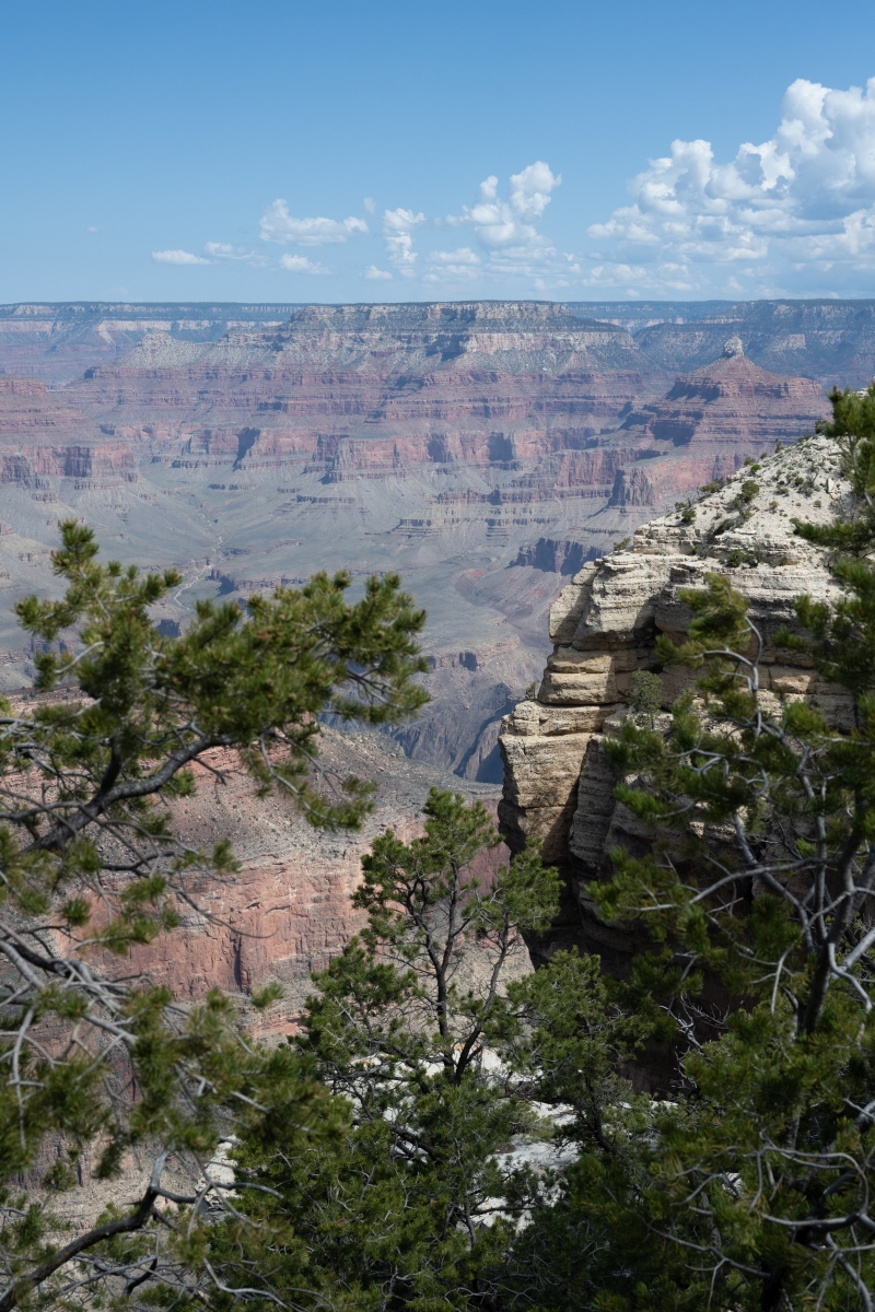 DSC_1164.jpg