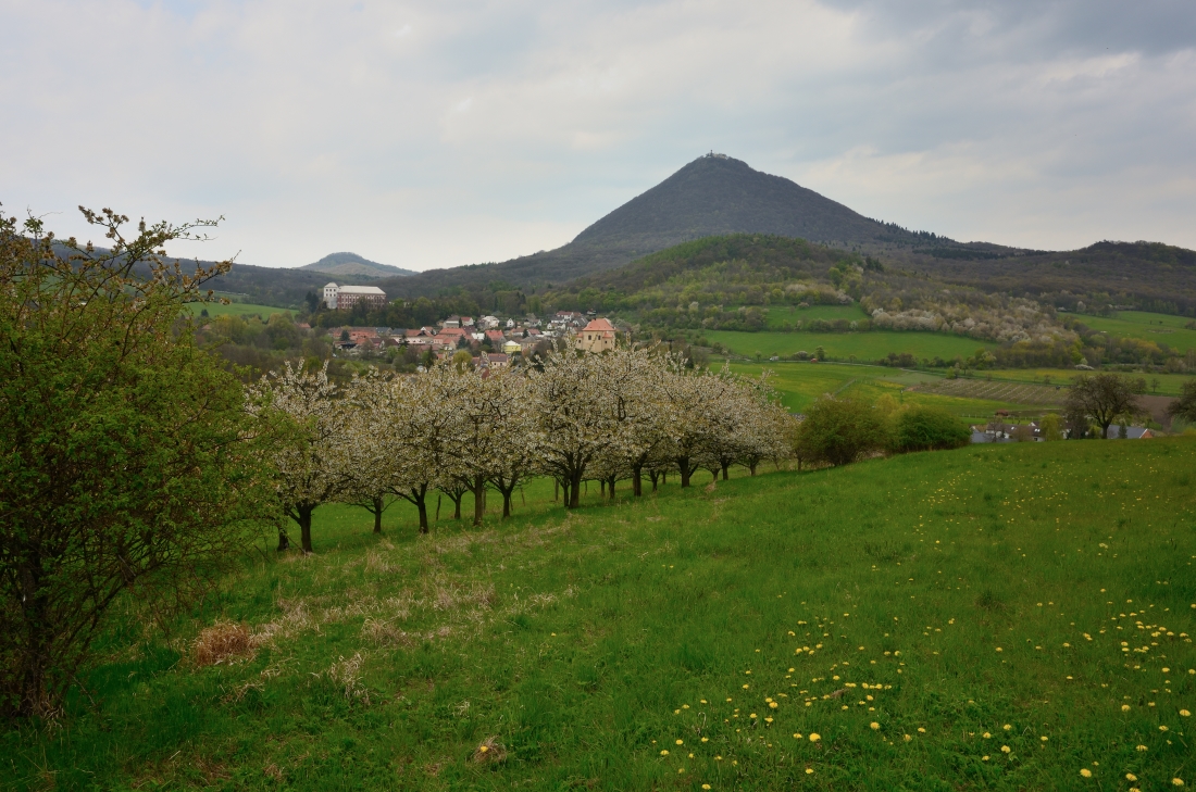 DSC_1164_00001n.jpg