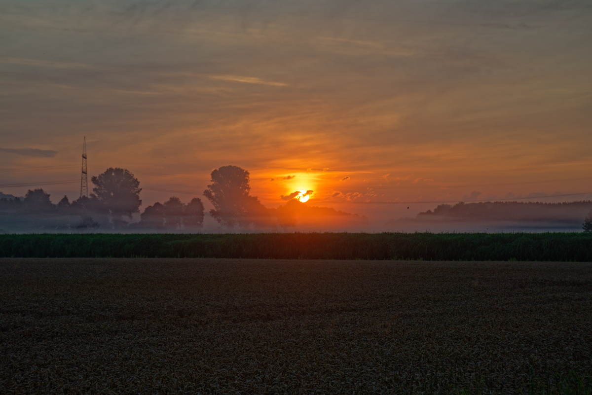 DSC_1164_DxO2_1200.jpg