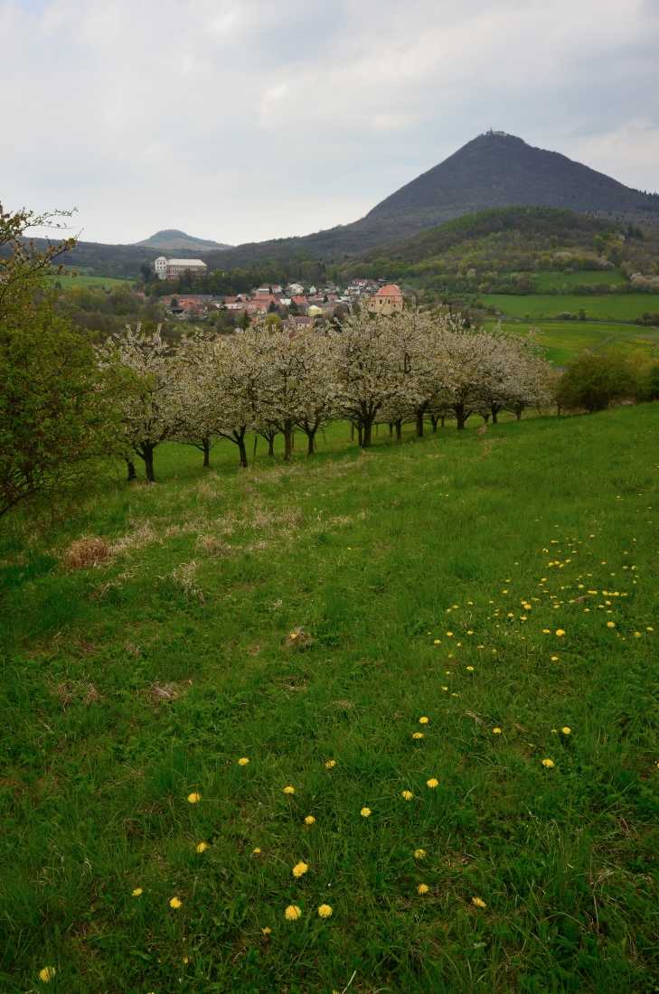 DSC_1165_00001n.jpg