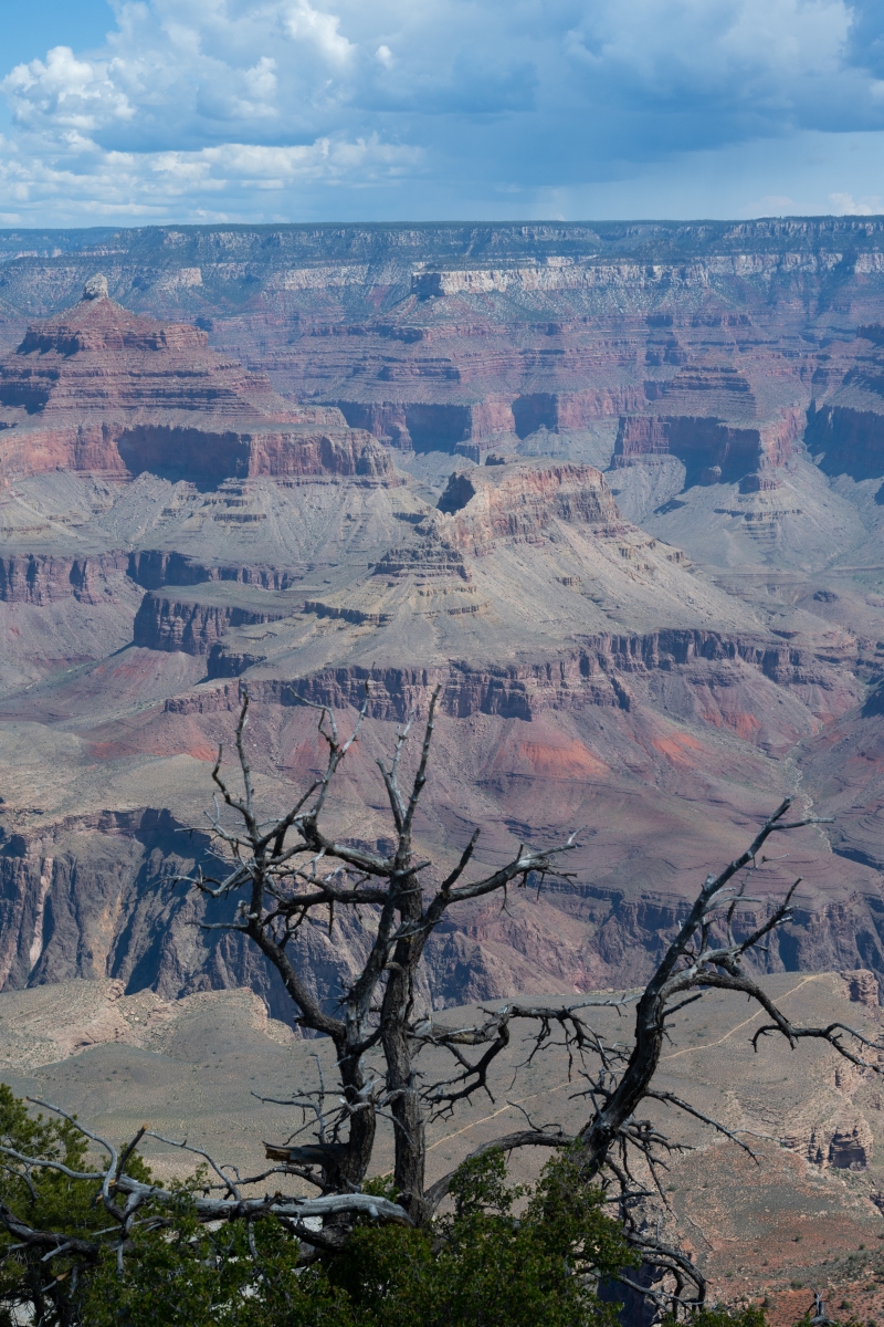 DSC_1168.jpg