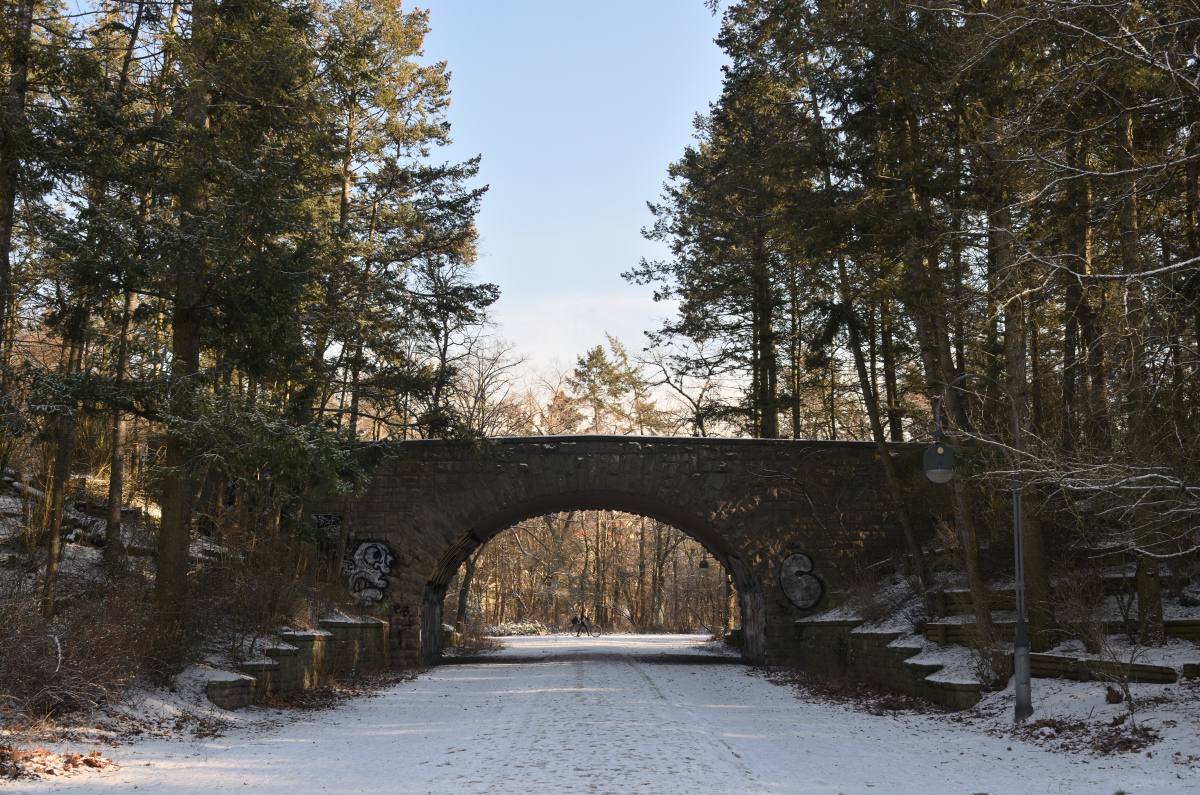 DSC_1169.JPG