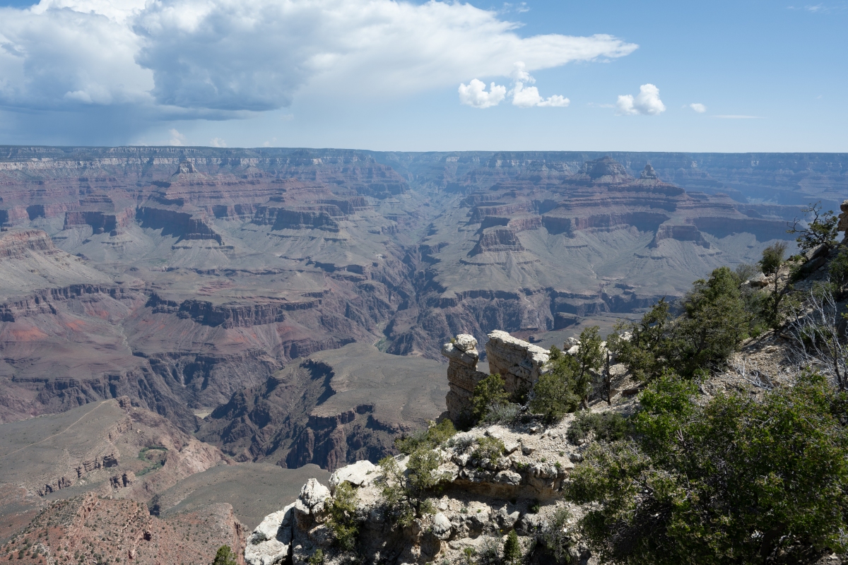 DSC_1170.jpg