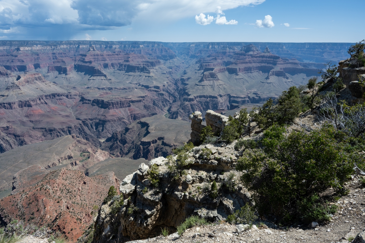 DSC_1171.jpg