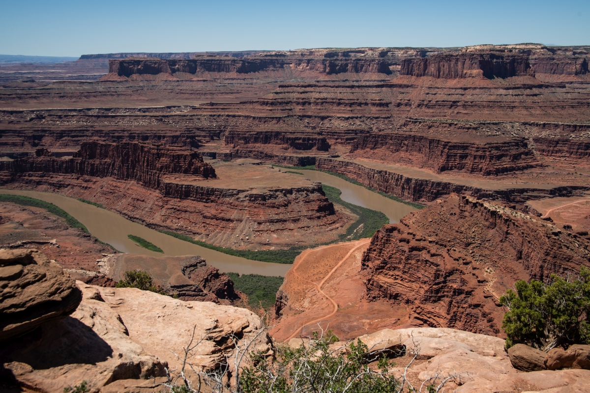 DSC_1172.jpg