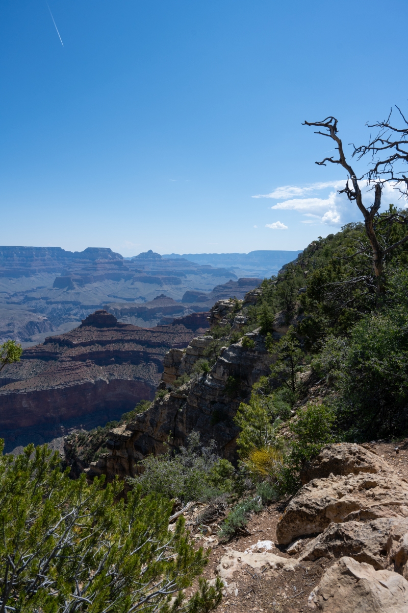 DSC_1177.jpg