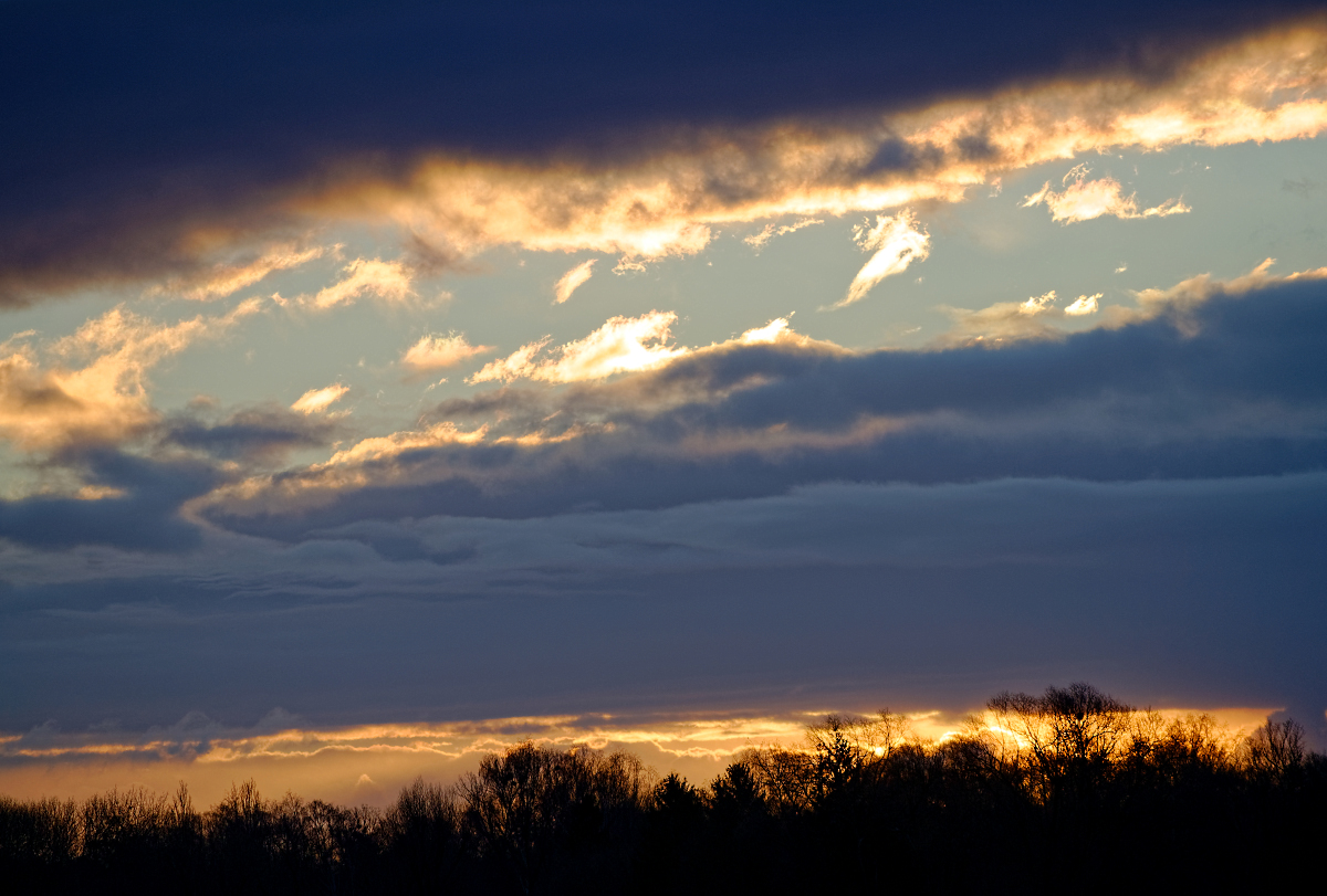 DSC_1179.jpg