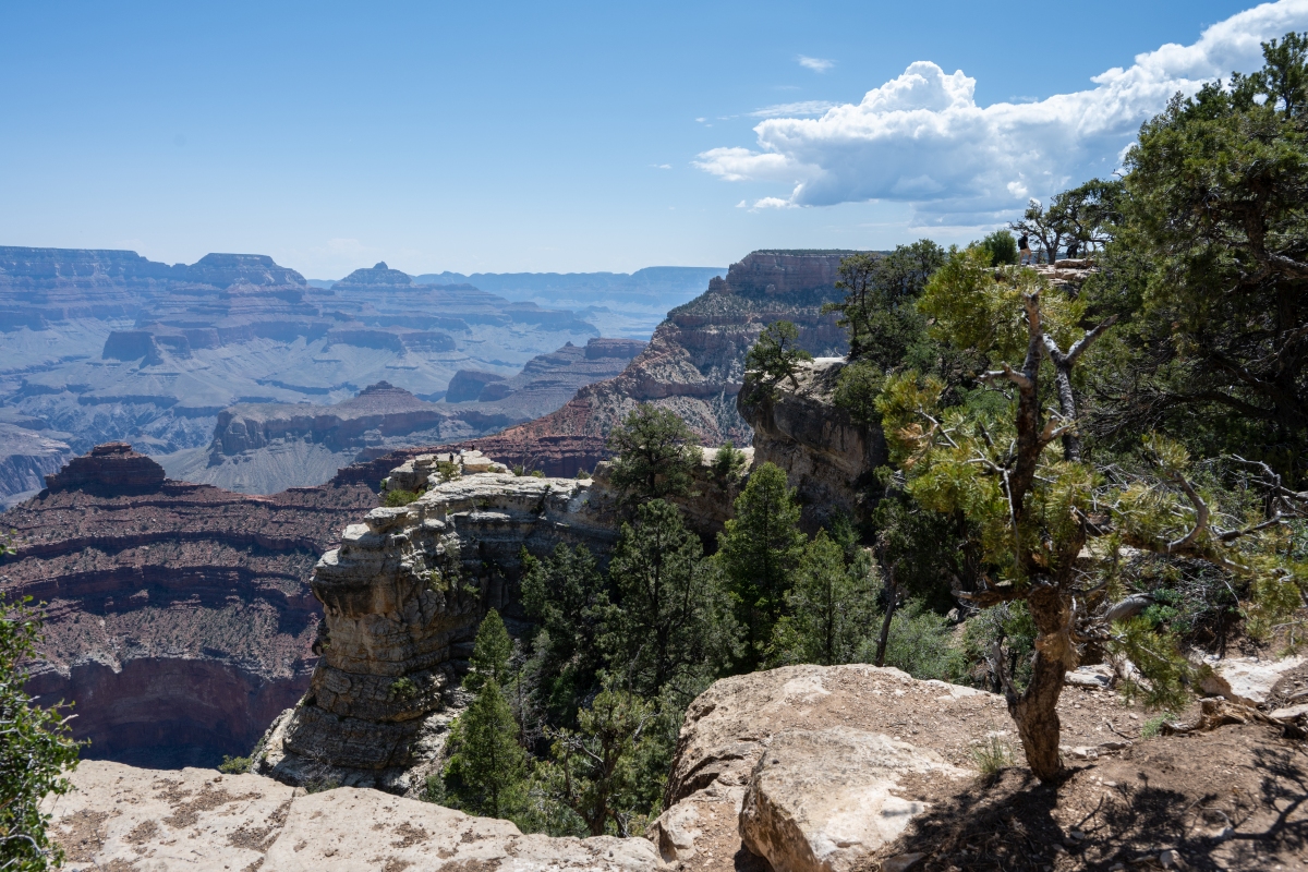 DSC_1180.jpg