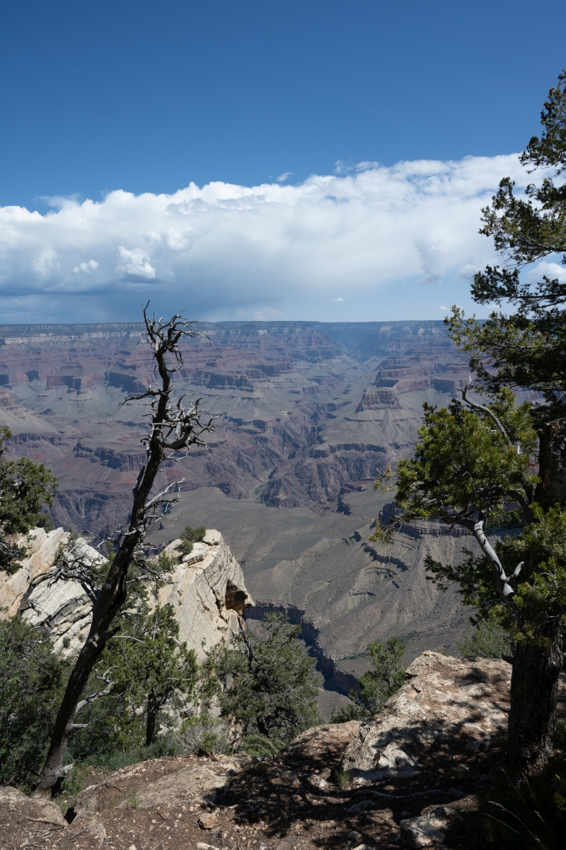 DSC_1181.jpg