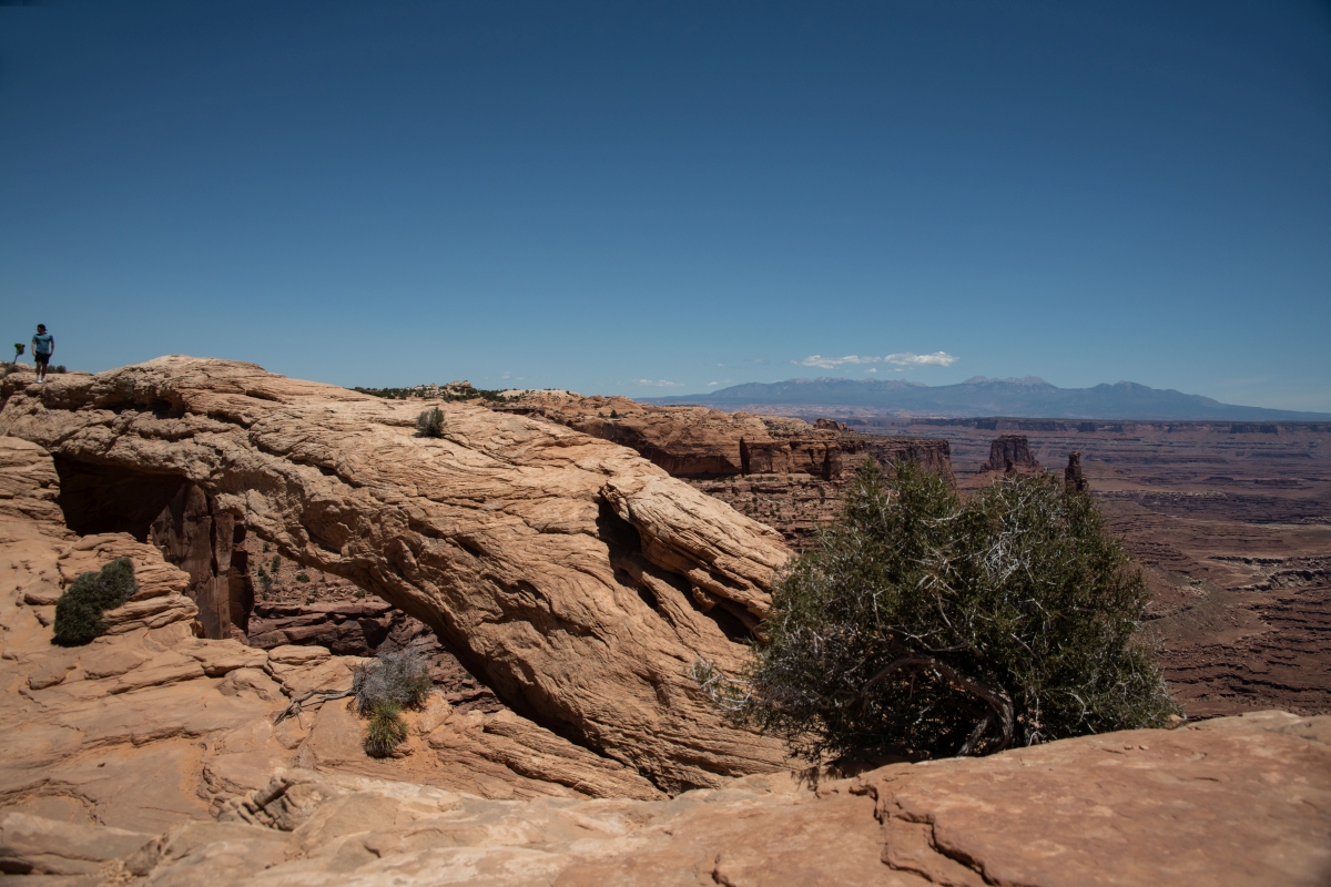 DSC_1185.jpg