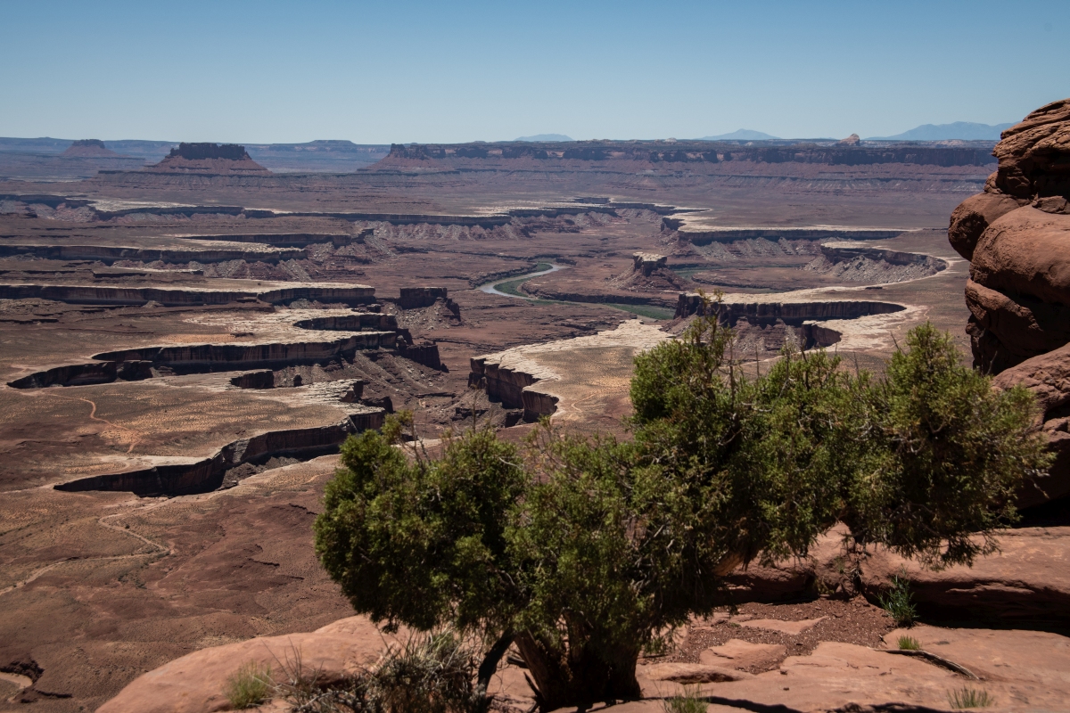 DSC_1192.jpg