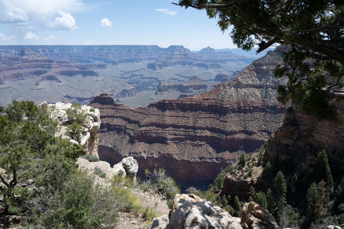 DSC_1193.jpg