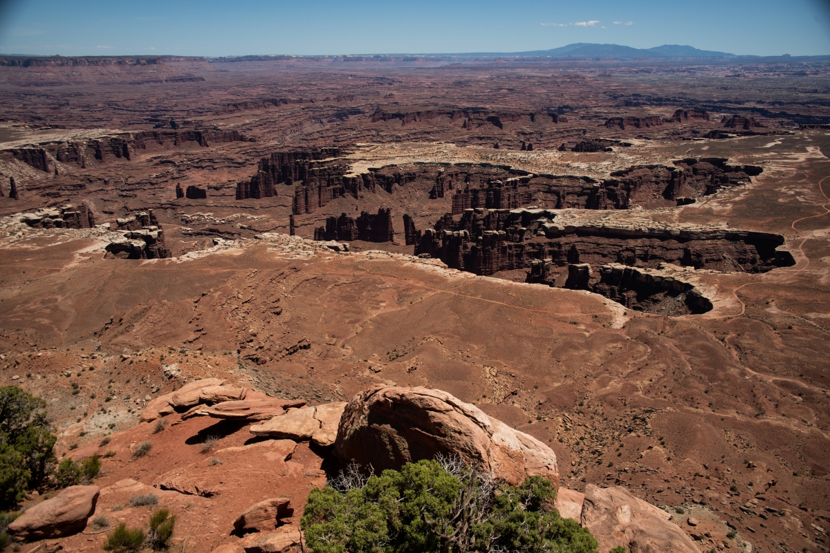 DSC_1196.jpg