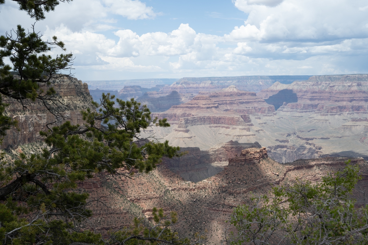 DSC_1199.jpg