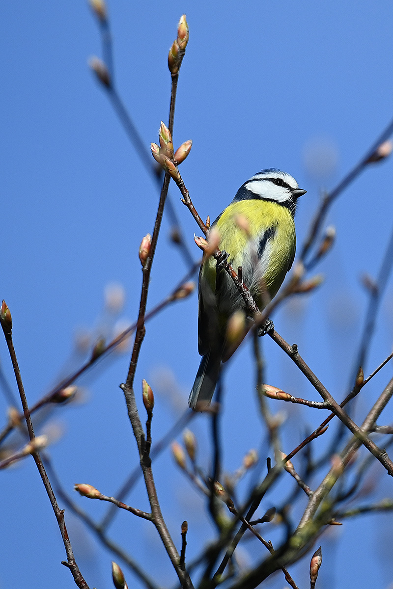 DSC_1204.JPG