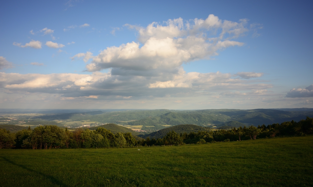DSC_1204_00009n.jpg