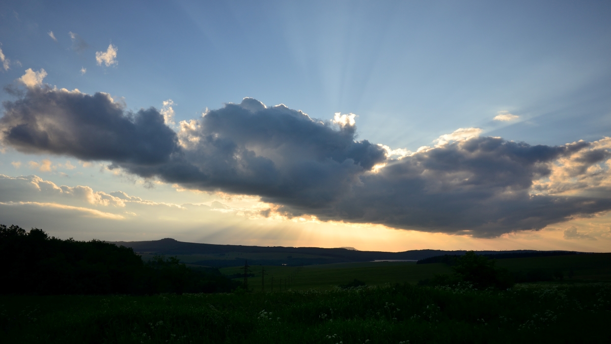 DSC_1205_00010 (2)n.jpg