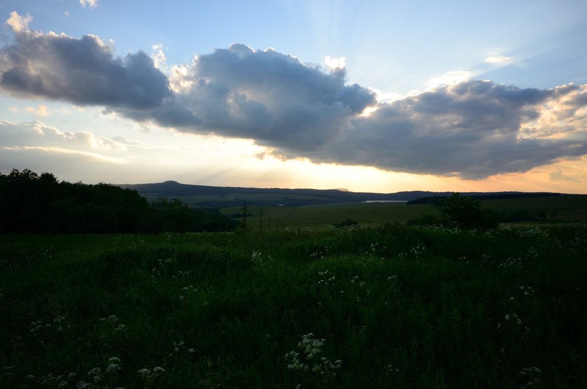 DSC_1206_00011n.jpg