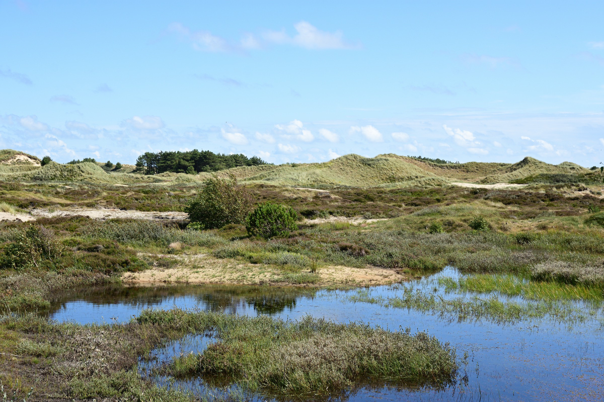DSC_1209.JPG