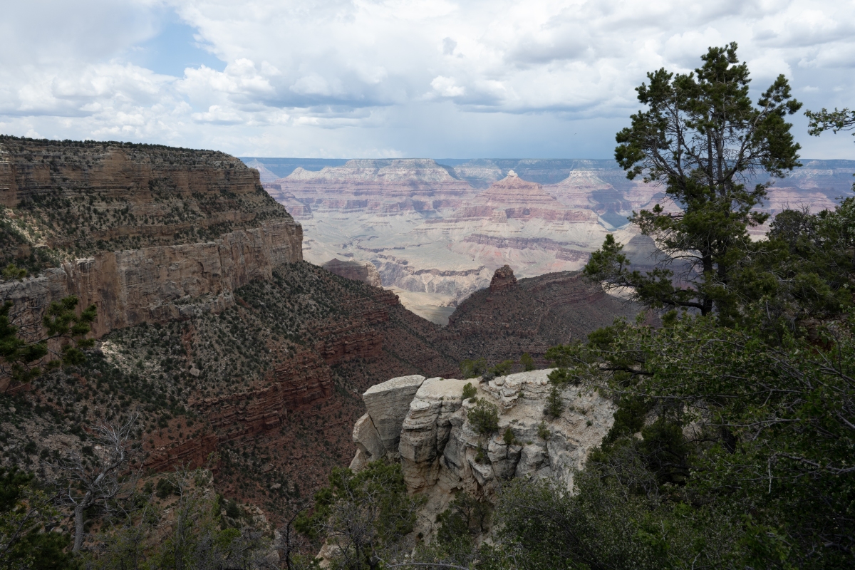 DSC_1211.jpg
