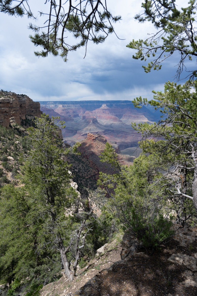 DSC_1220.jpg