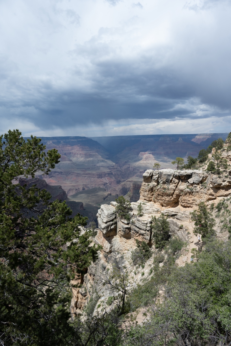 DSC_1223.jpg