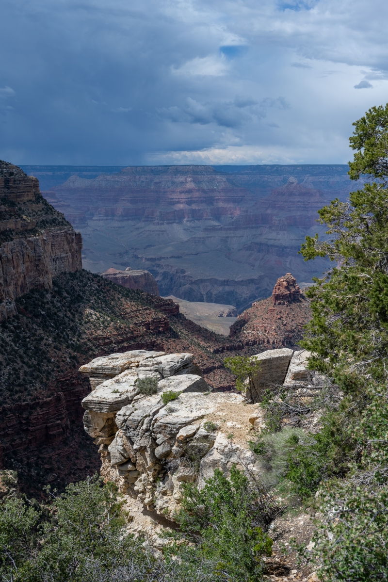 DSC_1224.jpg