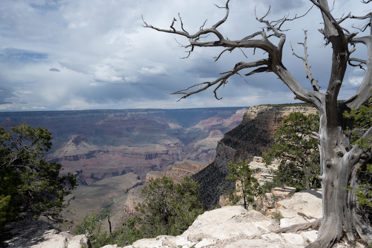 DSC_1227.jpg