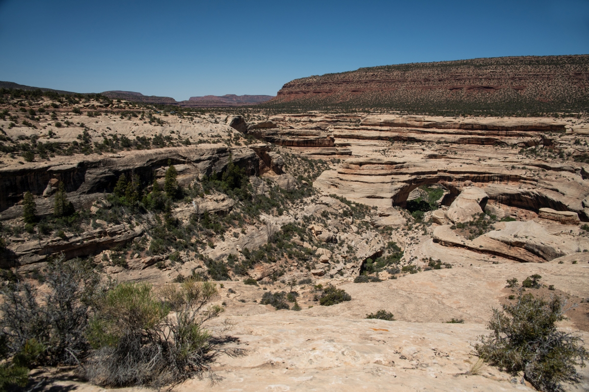 DSC_1230.jpg
