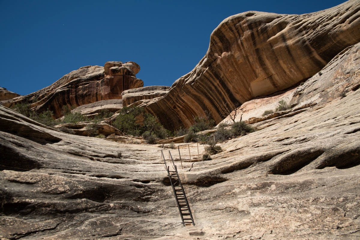 DSC_1240.jpg