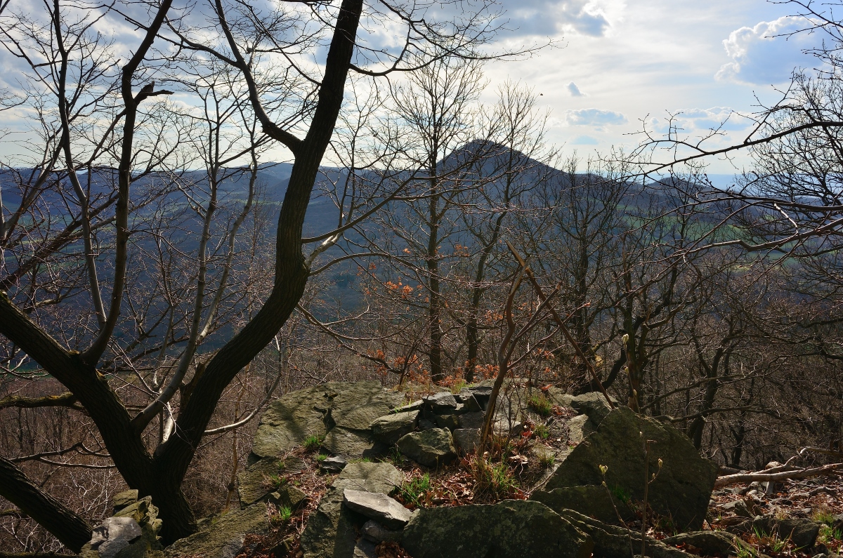 DSC_1262_00002n.jpg