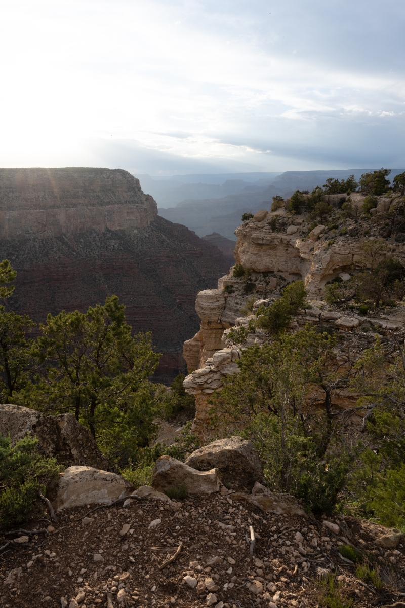 DSC_1267.jpg