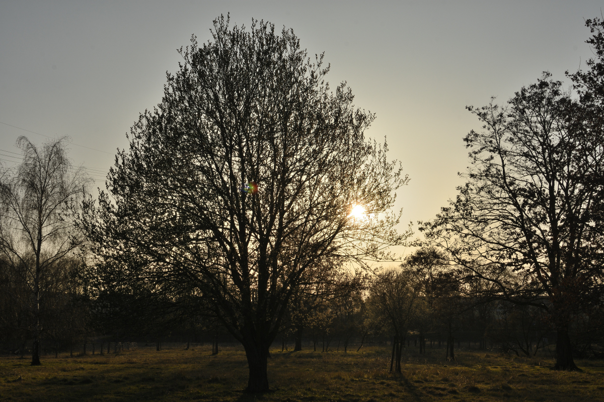 DSC_1269.JPG