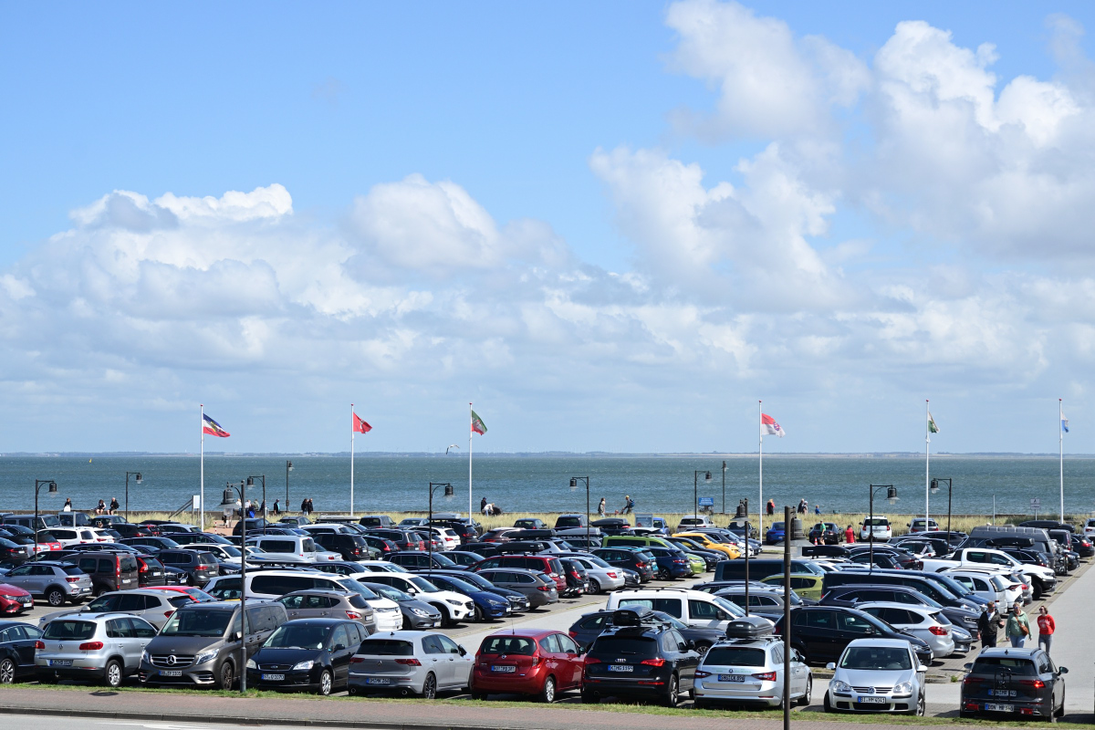 DSC_1272.JPG