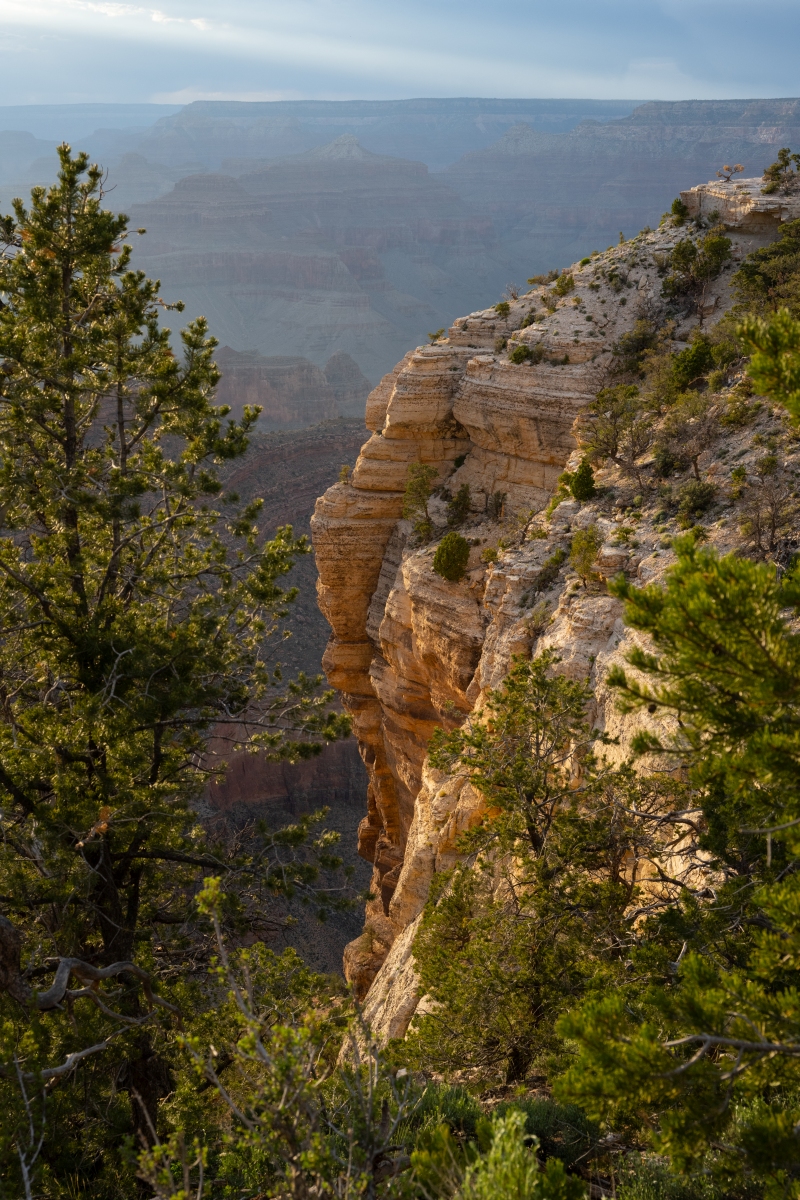 DSC_1277.jpg
