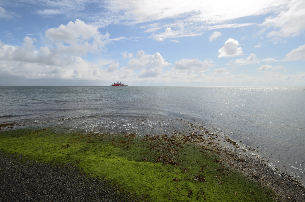 DSC_1287.JPG