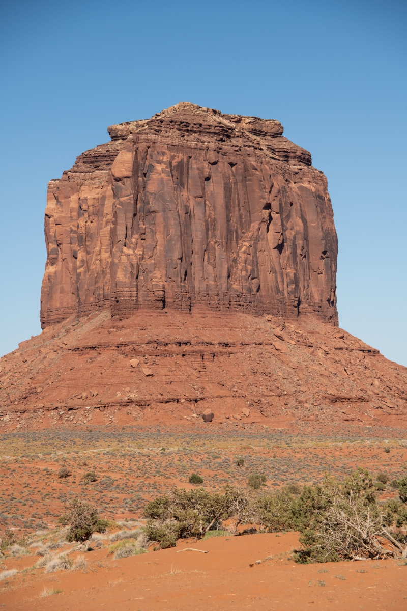 DSC_1310.jpg