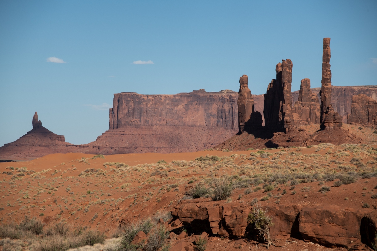 DSC_1321.jpg