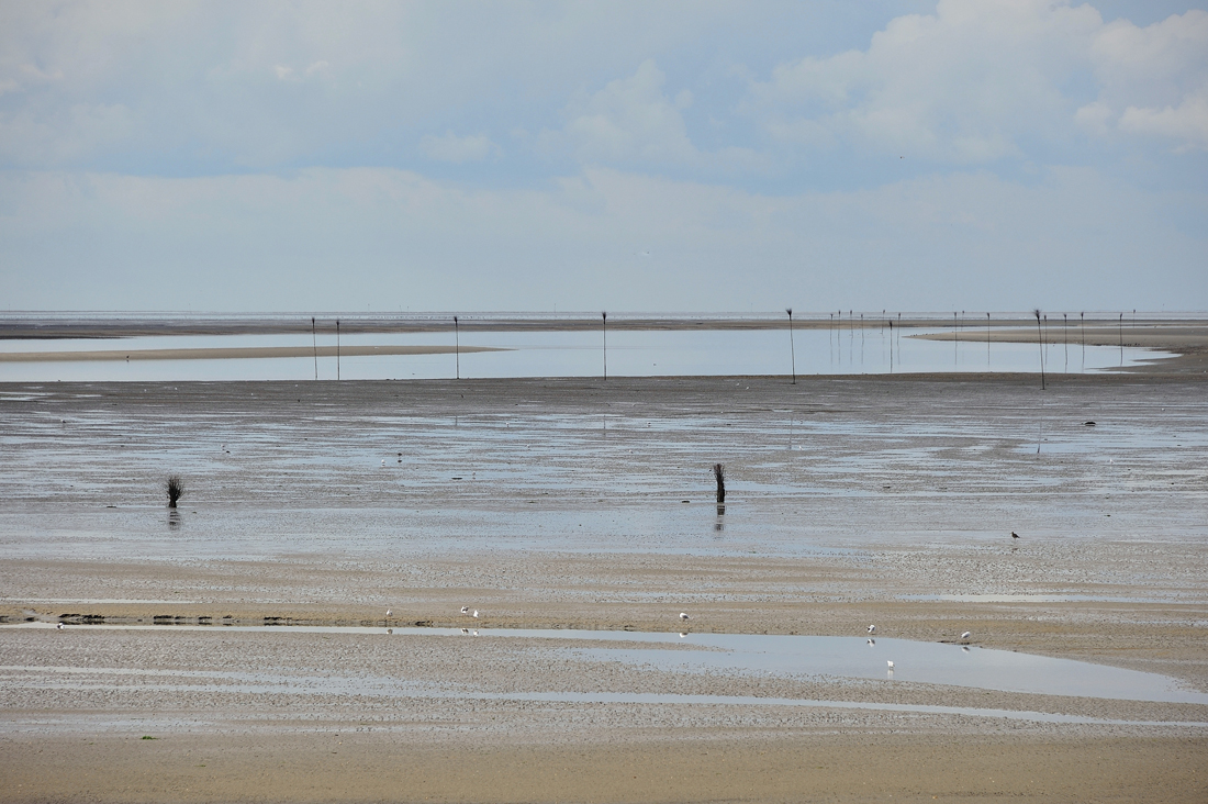 DSC_1329.jpg