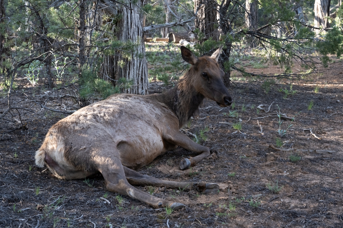 DSC_1343.jpg