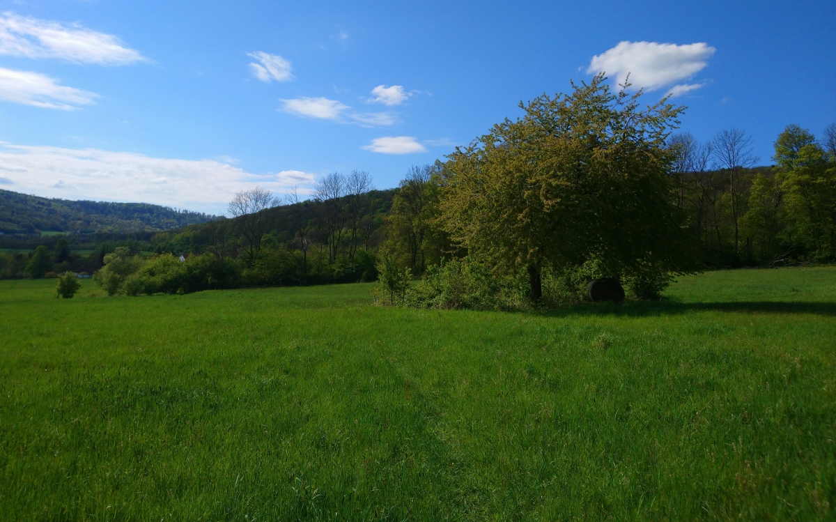 DSC_1350kn.jpg