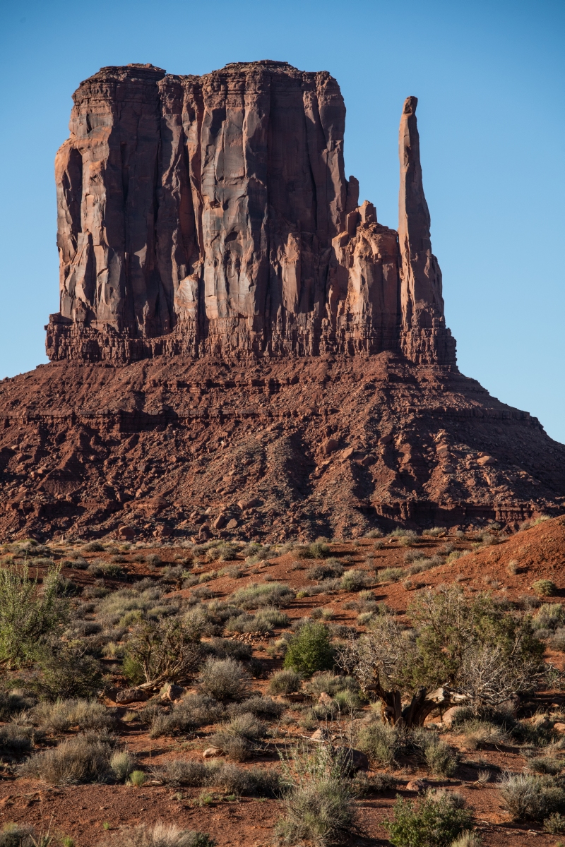 DSC_1356.jpg
