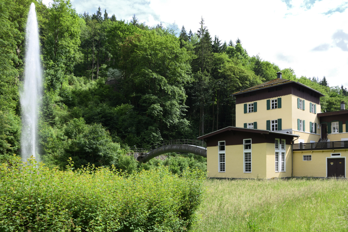 DSC_1357 - Kopie.JPG